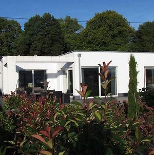 Villa Mosel Morbach Exterior photo