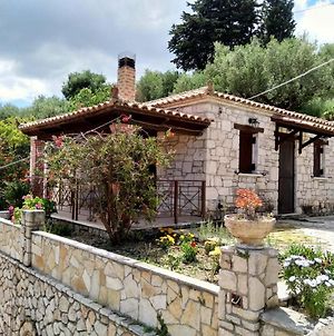 Vozas Villas - Traditional Houses With Great View Τραγάκι Exterior photo