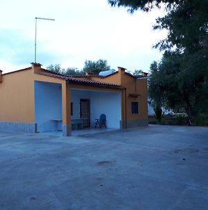 Villa Pino Mesagne Exterior photo
