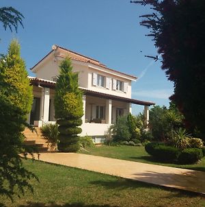 Beautiful Summer Villa In Chalkoutsi Χαλκούτσι Exterior photo