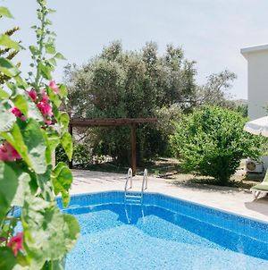 Five Greeks 4 Bedroom Villa In Paphos Πάνω Ακουρδάλεια Exterior photo