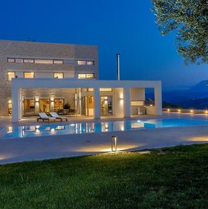 Diktamon Luxury Villa Φοινικιά Exterior photo