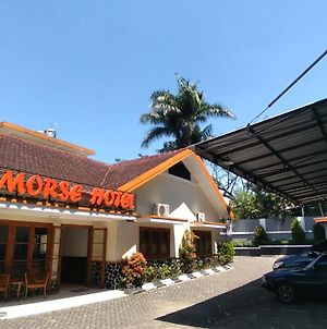 Morse Guesthouse Syariah Μαλάνγκ Exterior photo
