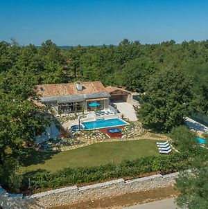 Family Villa Lipica With Private Pool And Jacuzzi Pazin Exterior photo