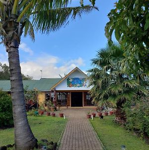 Cabanas Rapa Nui Orito Βίλα Χάνγκα Ρόα Exterior photo