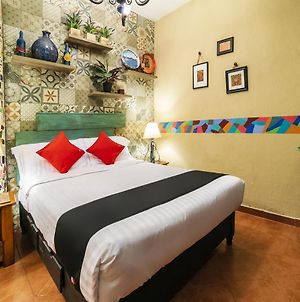 Coyotito Beds San Angel, Suites Con Encanto! Μεξικό Exterior photo