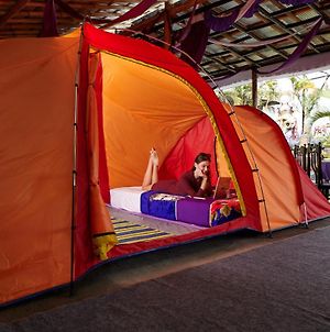 Hiker'S Camp At Toya Devasya Ξενοδοχείο Kintamani Exterior photo
