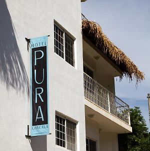 Hotel Pura Chacala Chacala  Exterior photo