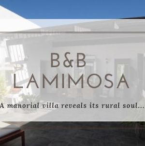 B&B La Mimosa Teguise  Exterior photo