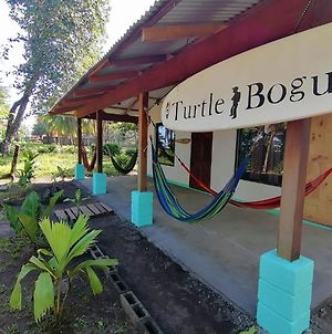 Casa Turtle Bogue Ξενοδοχείο Tortuguero Exterior photo