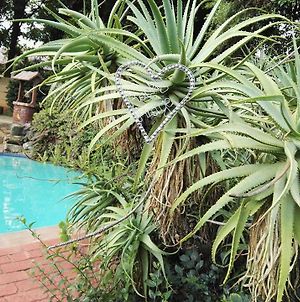 Rocky Ridge Guest House Self Catering - No Alcohol Allowed Roodepoort Exterior photo