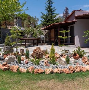 Dimitris Villas - Villa 4 Όρμος Παναγιάς Exterior photo