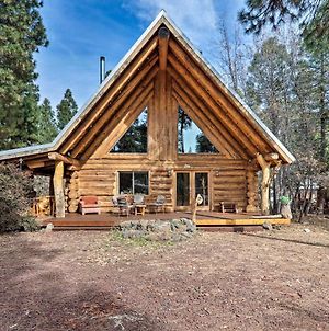 Lakeside Log Cabin Hike And Fish In White Mountains Βίλα Pinetop-Lakeside Exterior photo