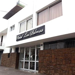 Hotel Las Palmas Αρίκα Exterior photo
