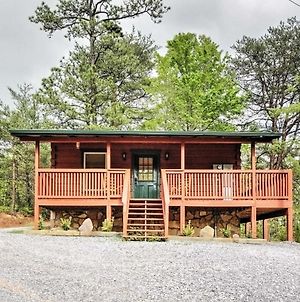 Log Cabin Studio In Sevierville With Deck And Hot Tub! Διαμέρισμα Exterior photo