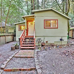 Quiet Cottage With Redwood Forest Views And Deck! Guerneville Exterior photo