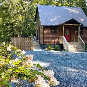Scenic Cabin With Hot Tub - 15 Mins To Bryson City! Exterior photo