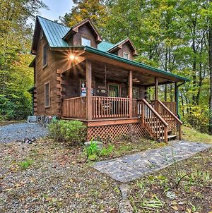 Pet-Friendly Rustic Bryson City Cabin With Fire Pit! Exterior photo
