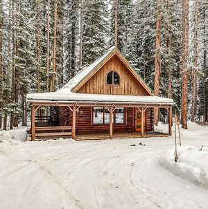 Forest Cabin Βίλα McCall Exterior photo