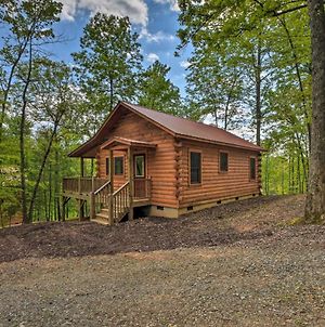 Cozy Log Cabin With Private Deck, 8 Mi To Murphy Βίλα Exterior photo
