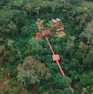 Cabana Amazon Lodge Ικίτος Exterior photo