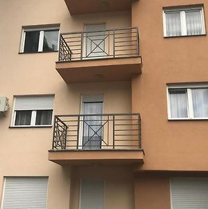 Zara Apartman Vrnjacka Banja Διαμέρισμα Vrnjci Exterior photo