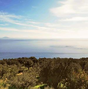 Charming Villa Amidst Olive Trees With Sea Views Parálion Ástros Exterior photo