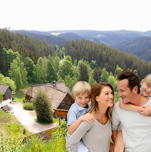 Ferienwohungen Gibbesbachhof Διαμέρισμα Triberg im Schwarzwald Exterior photo