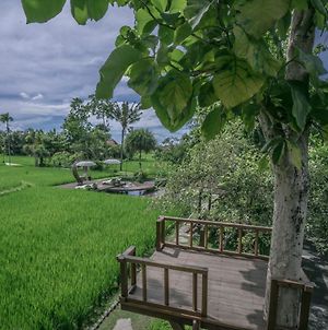 Kajane Yangloni At Ubud Bali Ξενοδοχείο Exterior photo