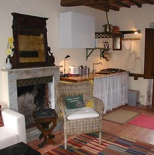 Adorable Tuscan Cottage With Beautiful Garden Just Outside Lucca, Sleeps 4 Capannori Exterior photo