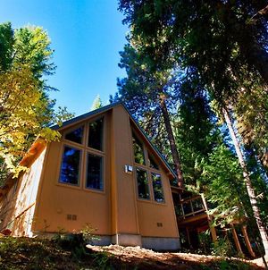 Carlson Cabin By Casago Mccall - Donerightmanagement Βίλα Exterior photo