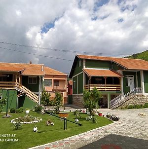 Guest House Vila Banjica Πίροτ Exterior photo