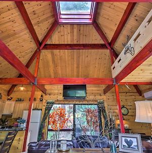 Strawberry And Pine Studio Cabin With Outdoor Oasis! Βίλα Exterior photo