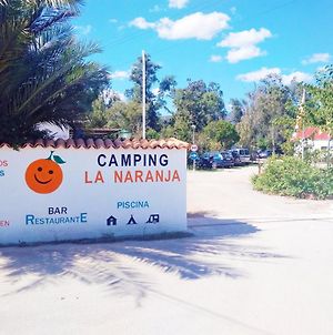 Camping La Naranja Ξενοδοχείο Gandía Exterior photo